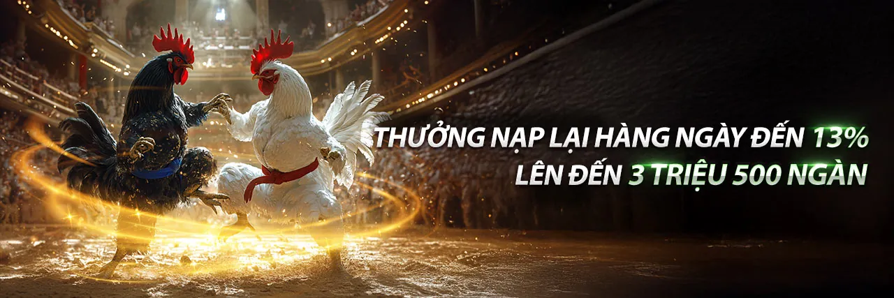 Hình ảnh banner Điều Khoản Dịch Vụ hii88